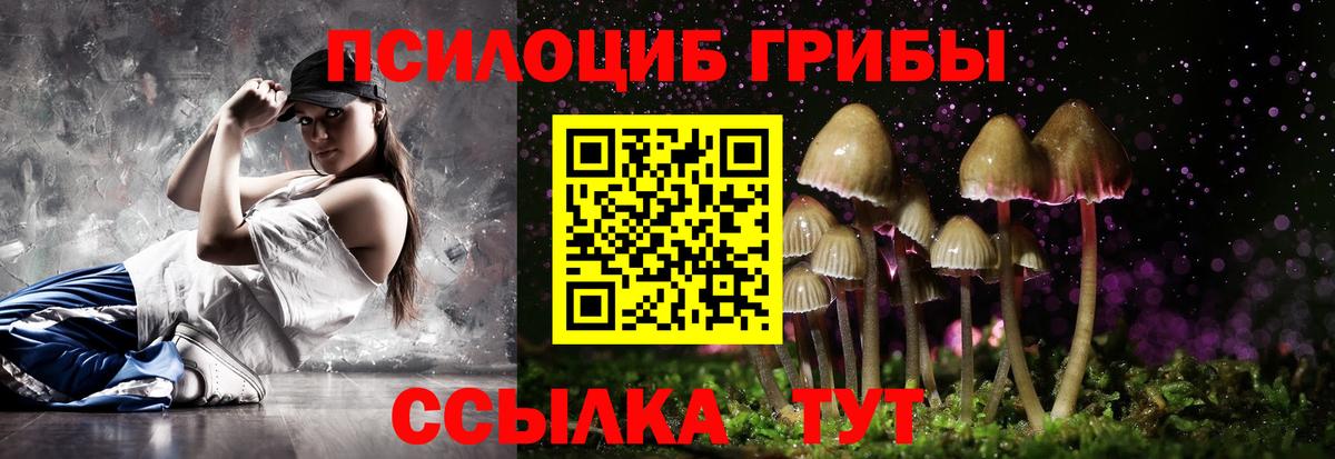 Галлюциногенные грибы ЛСД Великие Луки